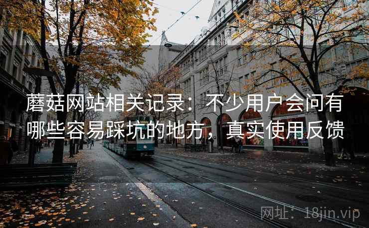 蘑菇网站相关记录:不少用户会问有哪些容易踩坑的地方,真实使用反馈 蘑菇网站相关记录:不少用户会问有哪些容易踩坑的地方,真实使用反馈
