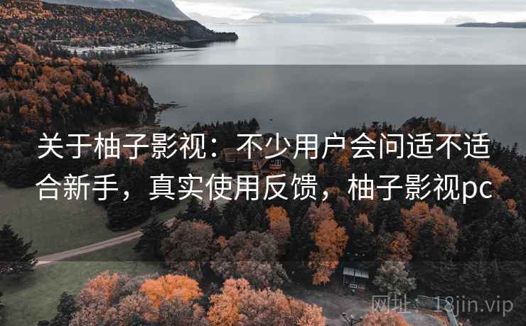 关于柚子影视:不少用户会问适不适合新手,真实使用反馈,柚子影视pc 关于柚子影视:不少用户会问适不适合新手,真实使用反馈,柚子影视pc